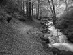 Gürbetaler Höheweg